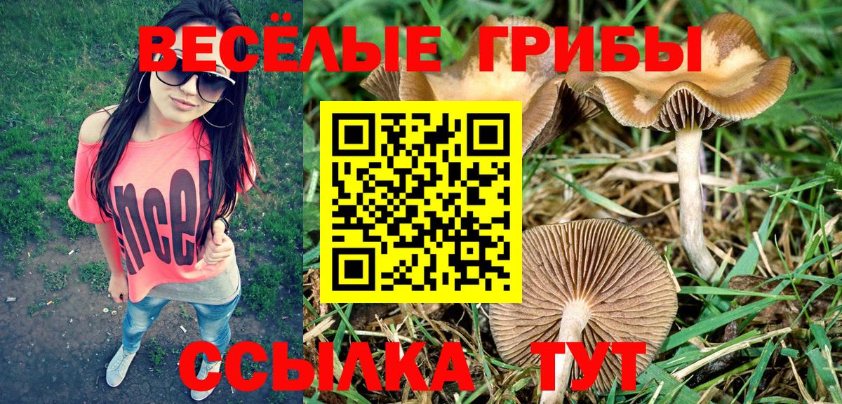 Псилоцибиновые грибы MAGIC MUSHROOMS Хабаровск