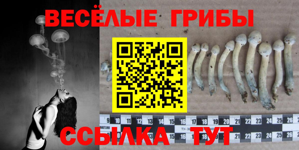 Галлюциногенные грибы Cubensis  Вход с VPN  Хабаровск 
